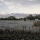 France Camargue