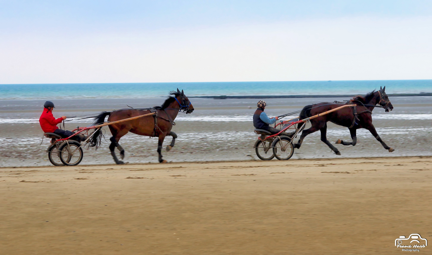 France, Normandie: Im Sulky mit Trabpferde dem Strand entlang 