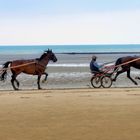 France, Normandie: Im Sulky mit Trabpferde dem Strand entlang 