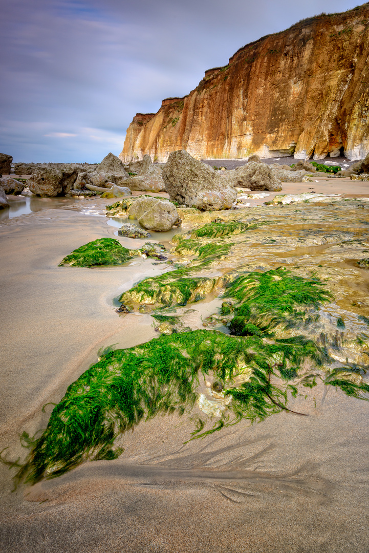 France - Normandie (Sotteville-sur-Mer)