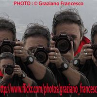 Frances Graziano