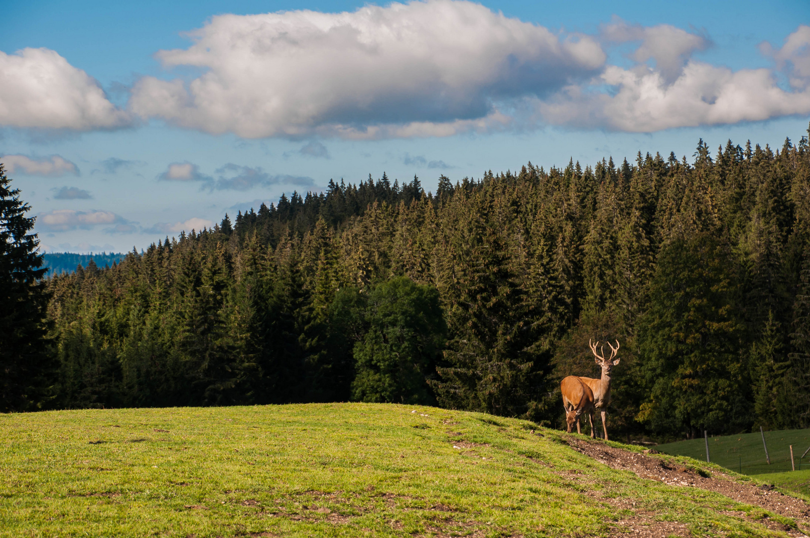 Franche Comté