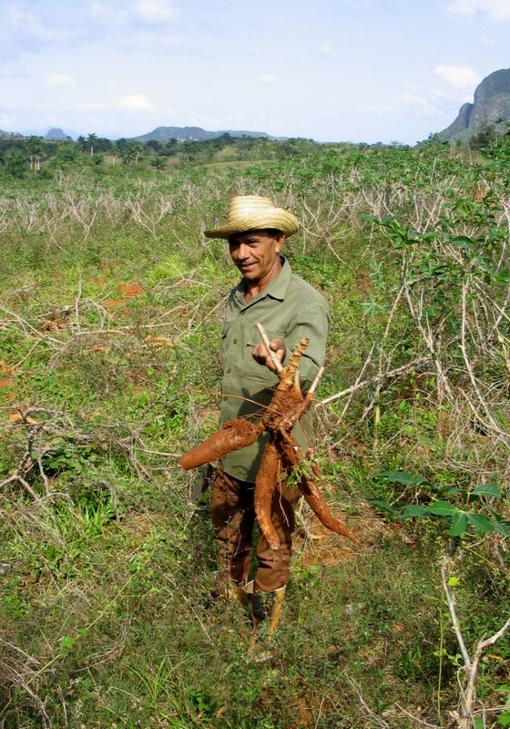 Francisco aus dem Valle Viñales...