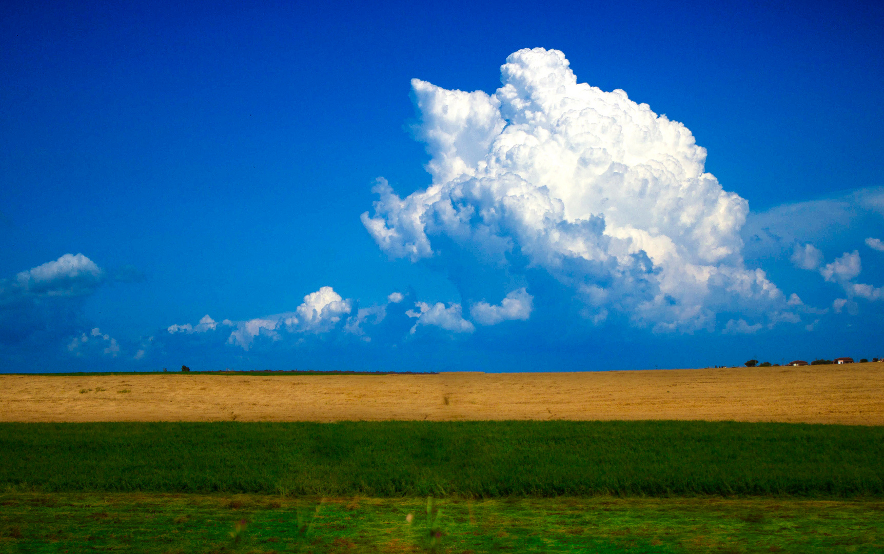 Franco Fontana, Omaggio