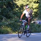 User Profile Photo