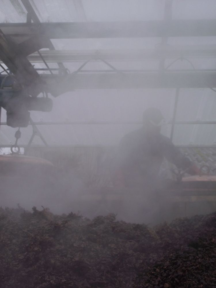 FRANCOIS DANS LA VAPEUR DE SON ALAMBIC 2