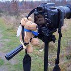 Francois-Manoel mit auf Fototour in der Wahner Heide