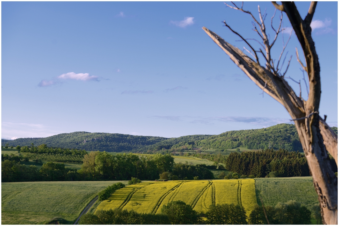 "franconian landscape"