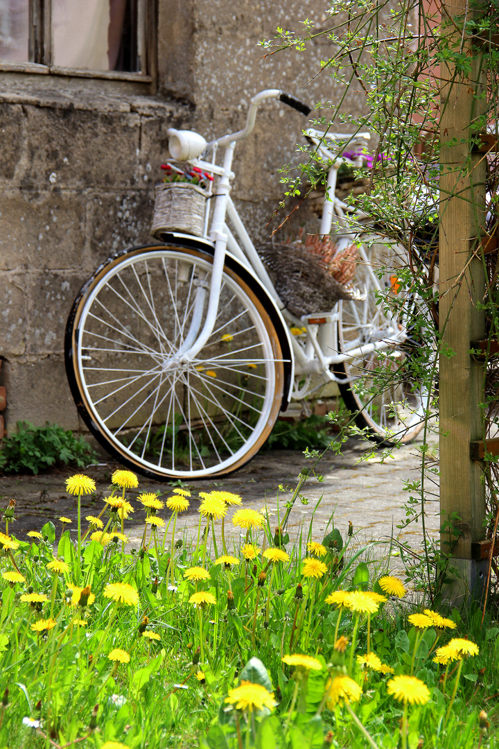 Franconian village at spring awakening