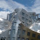 Frank Gehry