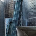 Frank Gehry's architecture