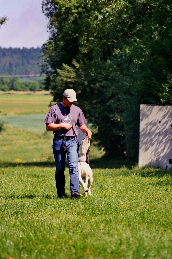 Frank und Suko beim Training