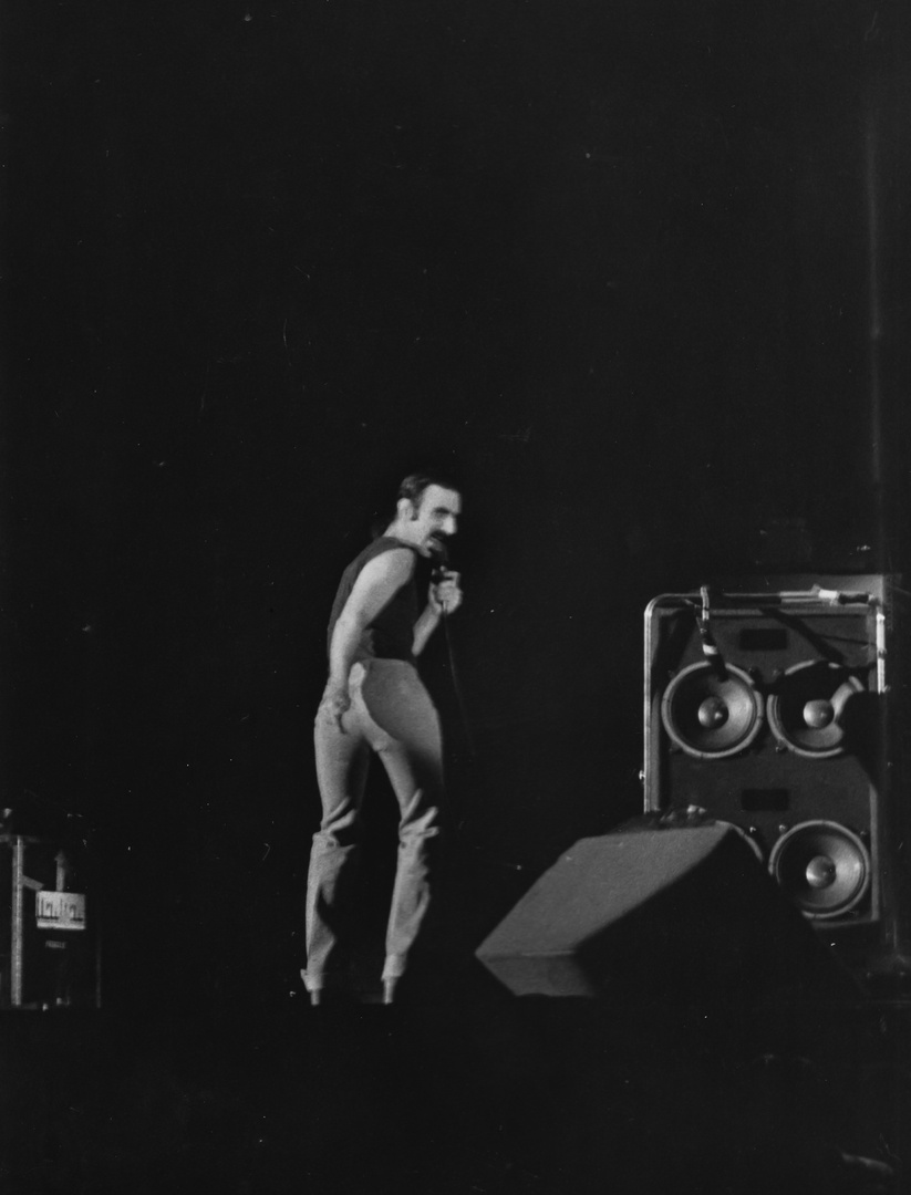 Frank Zappa II