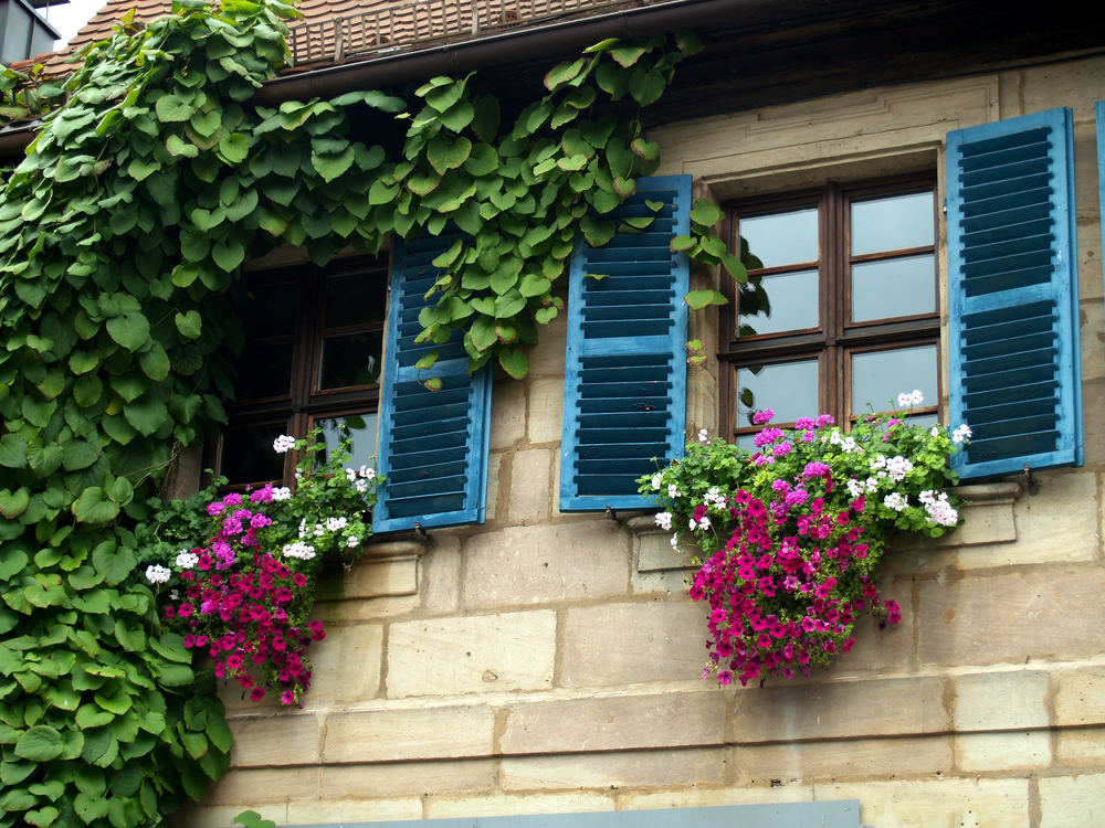 Franken-Fenster