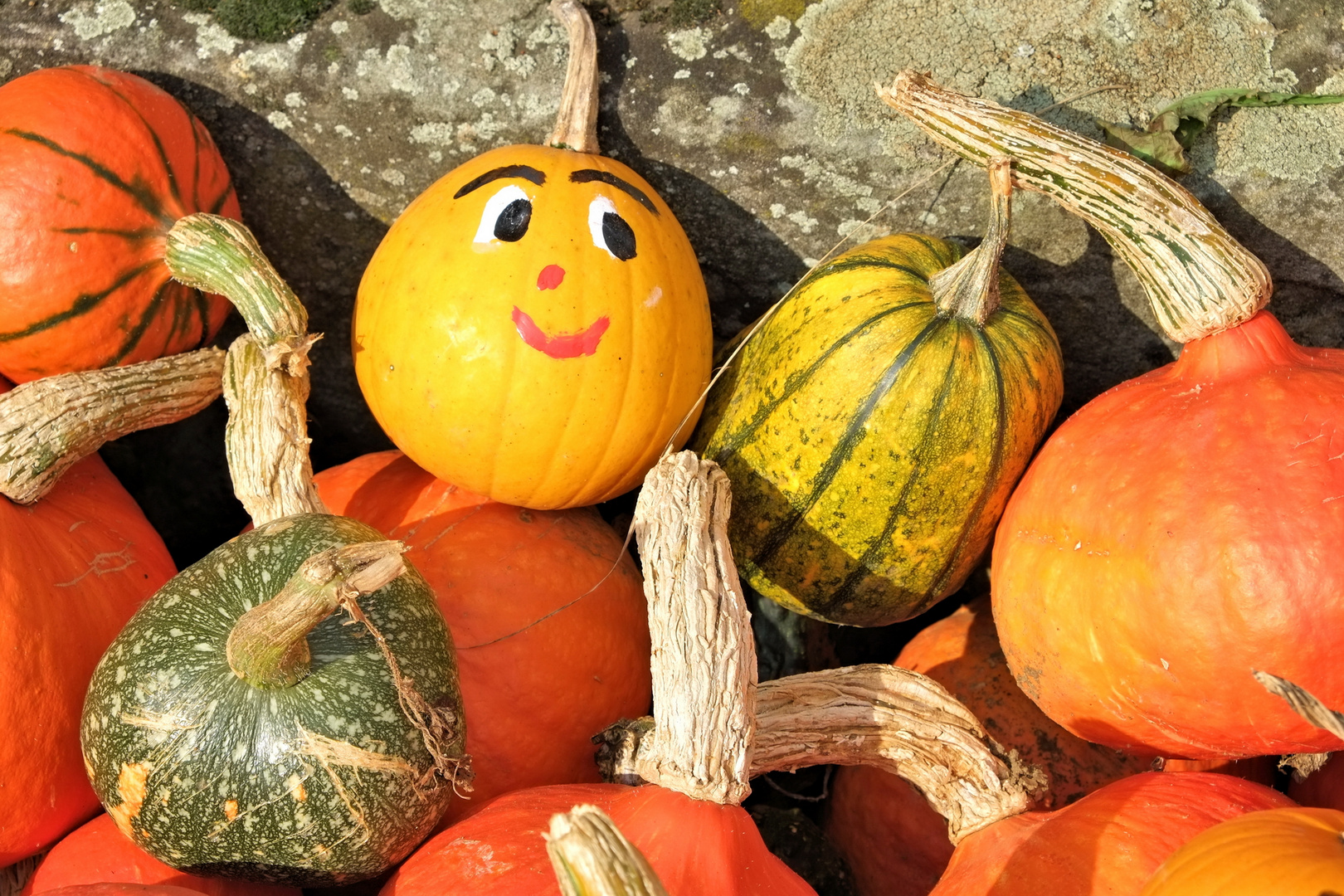 Franken im Frühherbst I