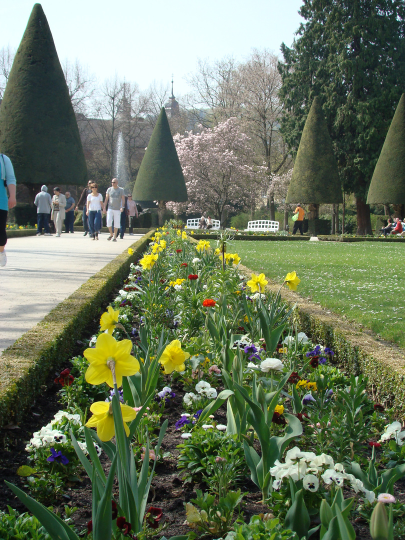 Franken Würzburg Hofgarten Perle am Main