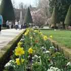 Franken Würzburg Hofgarten Perle am Main