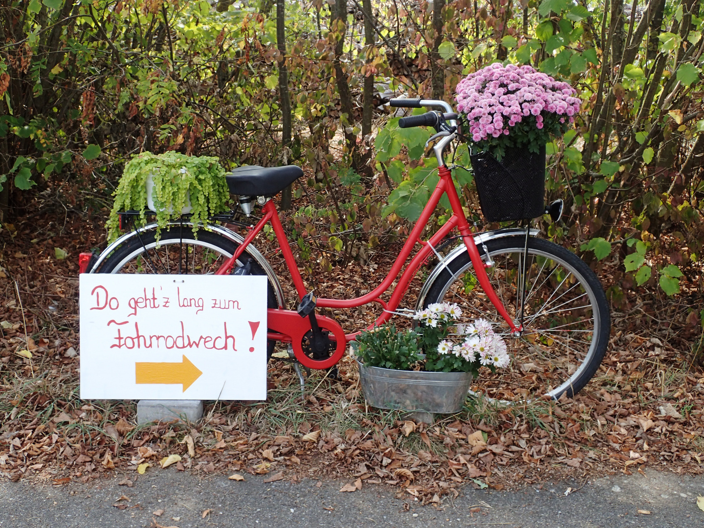 Frankenfahrrad.