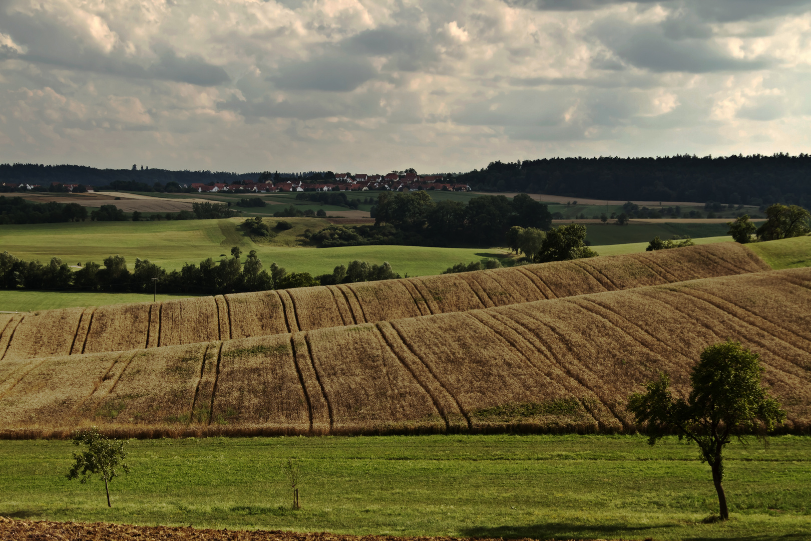 Frankenhardter Hügellandschaft