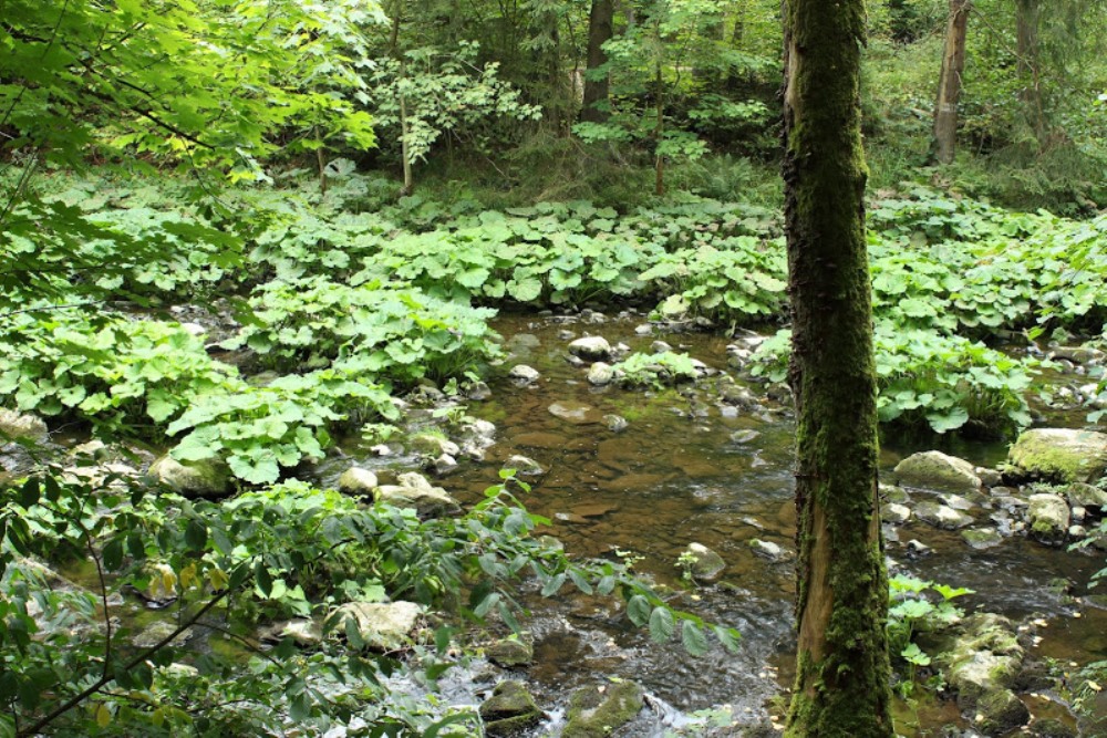 Frankenwald - Teil 2