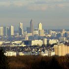 Frankfurt a. M.- Skyline am Nachmittag