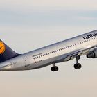 Frankfurt Airport - Lufthansa Airbus A320 D-AIZM