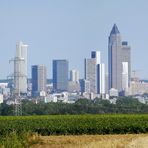 Frankfurt am Feld