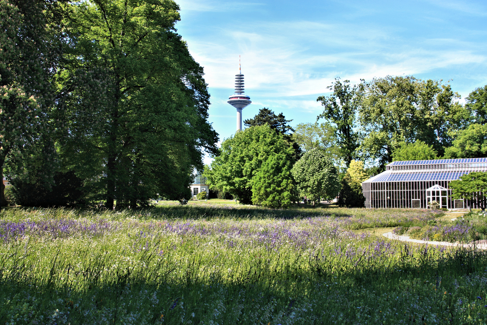 Frankfurt am Main