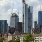 Frankfurt am Main