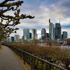 Frankfurt am Main