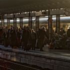 Frankfurt am Main - Hauptbahnhof, unterwegs nach Wien