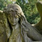 Frankfurt am Main, Hauptfriedhof: Der Engel mit den großen Flügeln 01 