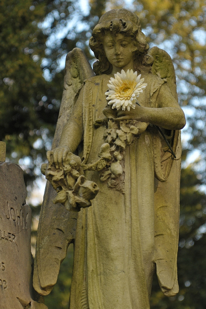 Frankfurt am Main, Hauptfriedhof: Der Engel mit der Blume