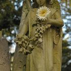 Frankfurt am Main, Hauptfriedhof: Der Engel mit der Blume