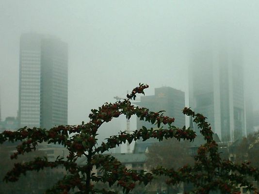 Frankfurt am Main im Nebel