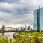 Frankfurt am Main Skyline hinter EZB 01