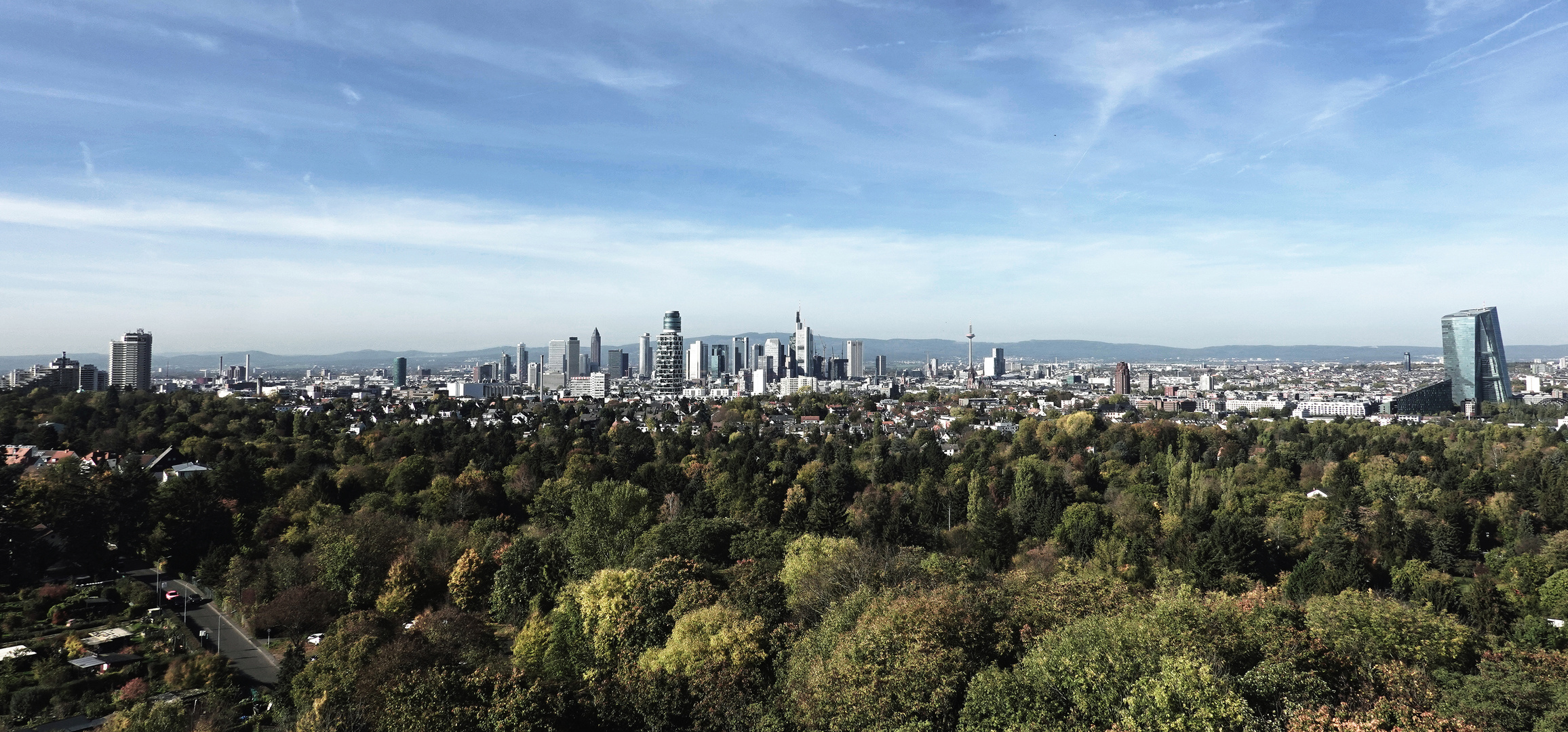 Frankfurt am Main - Skyline und Stadtwald