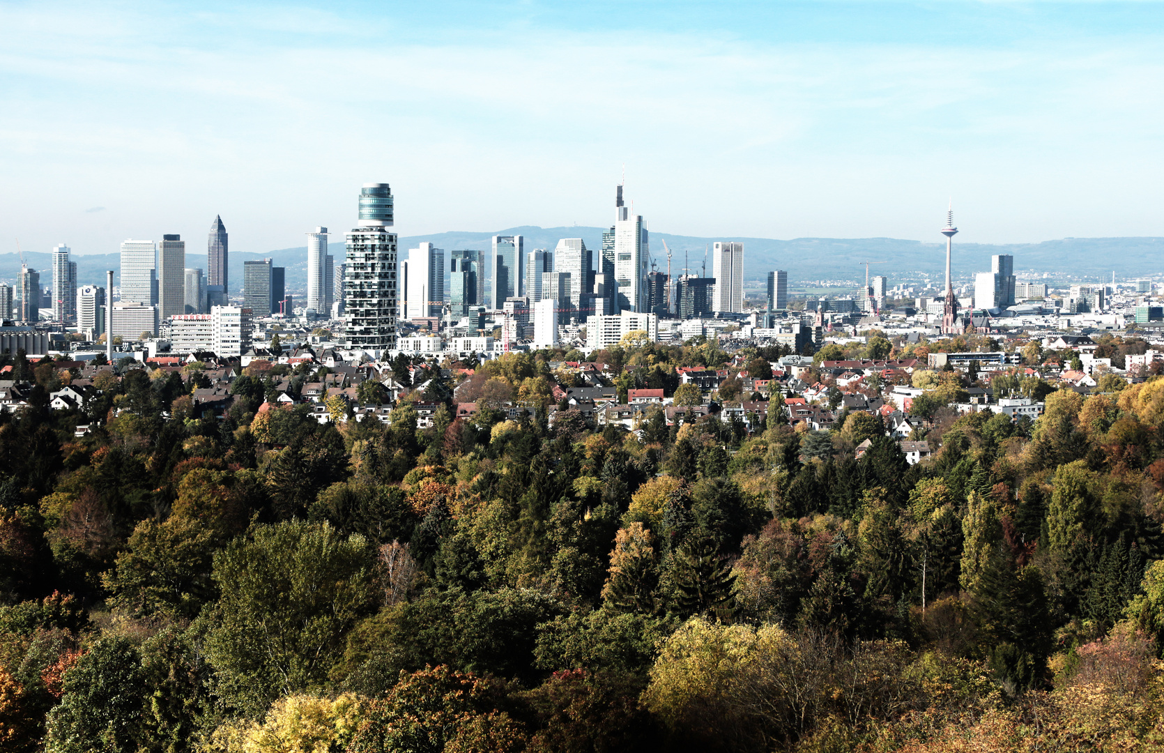 Frankfurt am Main - Skyline und Stadtwald