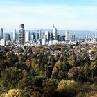 Frankfurt am Main - Skyline und Stadtwald