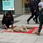 Frankfurt am Main - Straßenfotografie