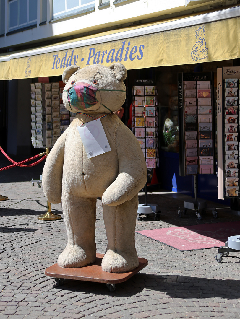 Frankfurt am Main  -Teddy mit Maske- Corona