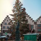 Frankfurt am Main - Weihnachtsbaum Gretel