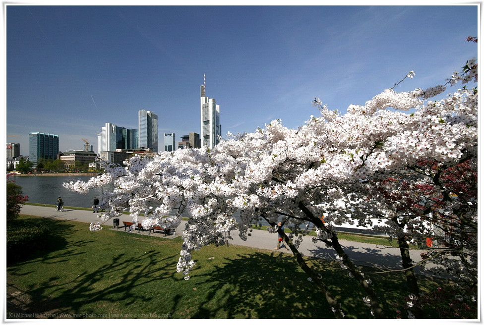 Frankfurt an einem Frühlingstag