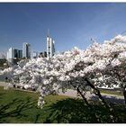 Frankfurt an einem Frühlingstag