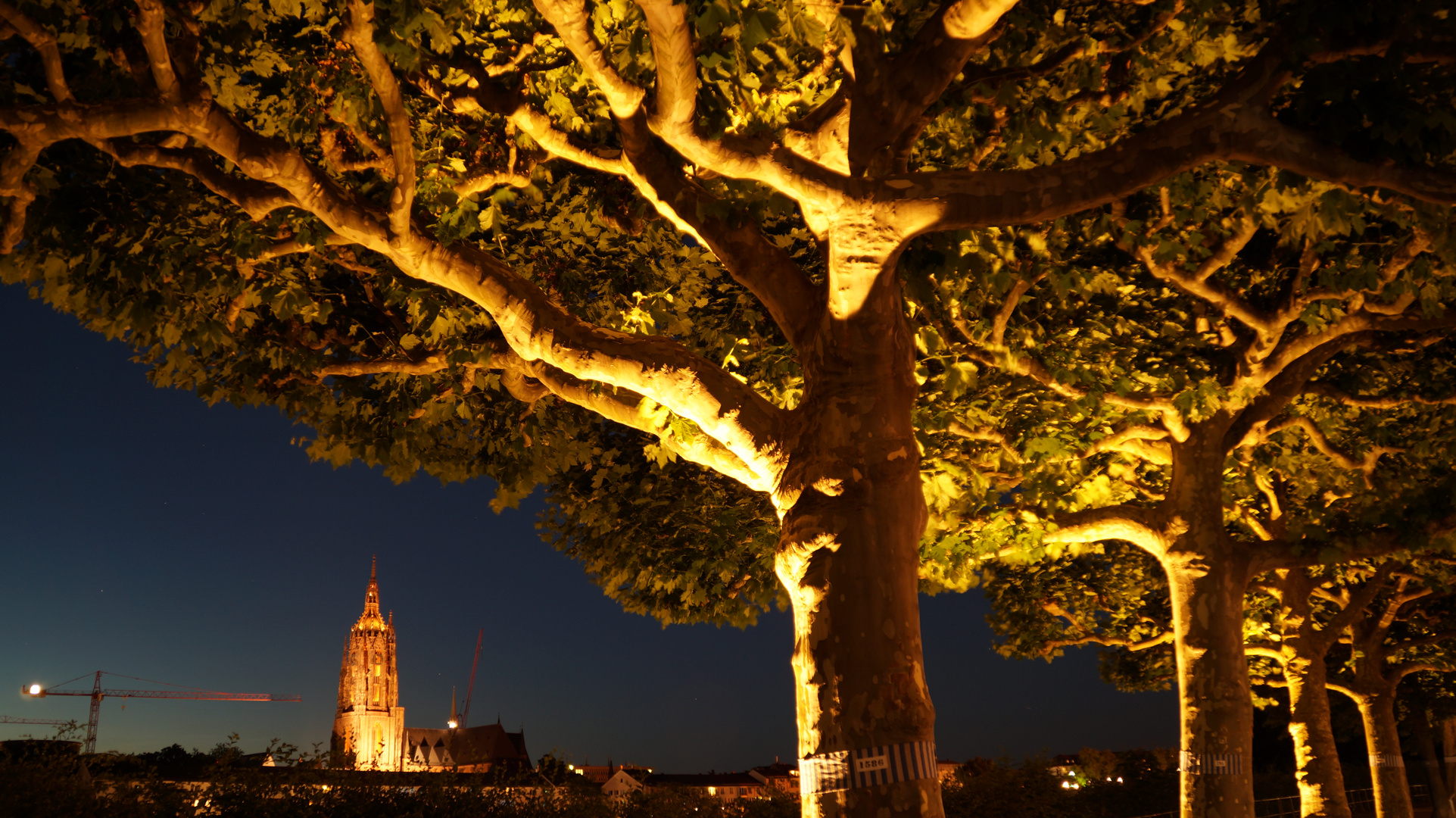 Frankfurt bei Nacht 1.1