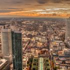 Frankfurt Blick vom Main Tower