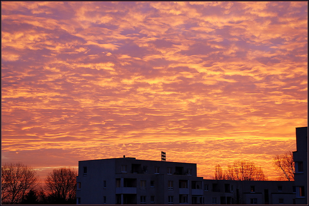 Frankfurt burning 2008 - Ein Sonnenaufgang vom 23.01.2008