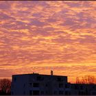 Frankfurt burning 2008 - Ein Sonnenaufgang vom 23.01.2008