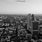 Frankfurt B&W