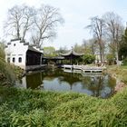 Frankfurt - Chinesischer Garten (Sigma Fisheye an D7100)